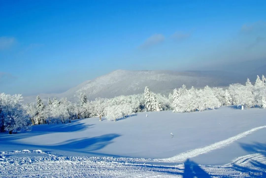 国内这7个绝美雪景地,看到第一个我就想去了!