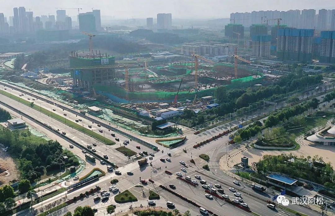 厉害了大湾区,厉害了大中国