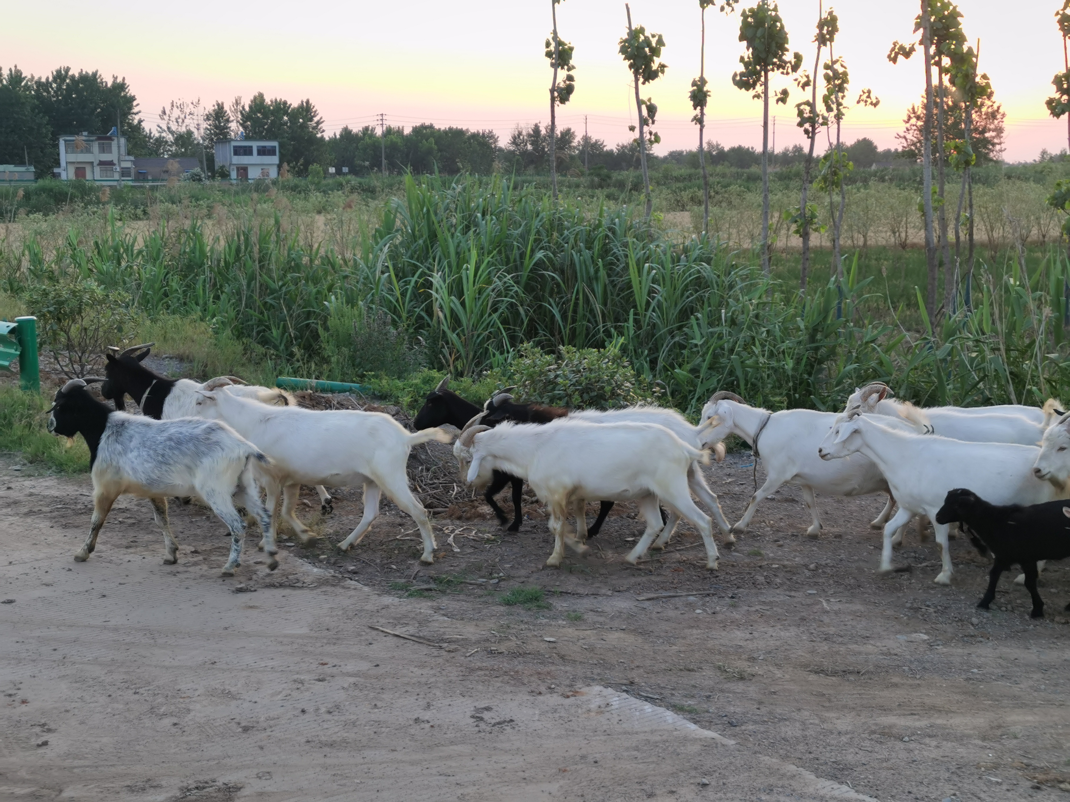 曾经的脏乱差变成了现在的新景观,从面目全非到焕然一新