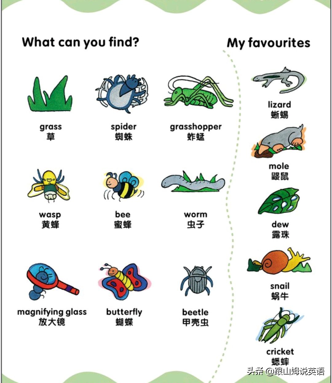 90幅图速记1000个初中英语单词,90幅图轻松记1000个单词