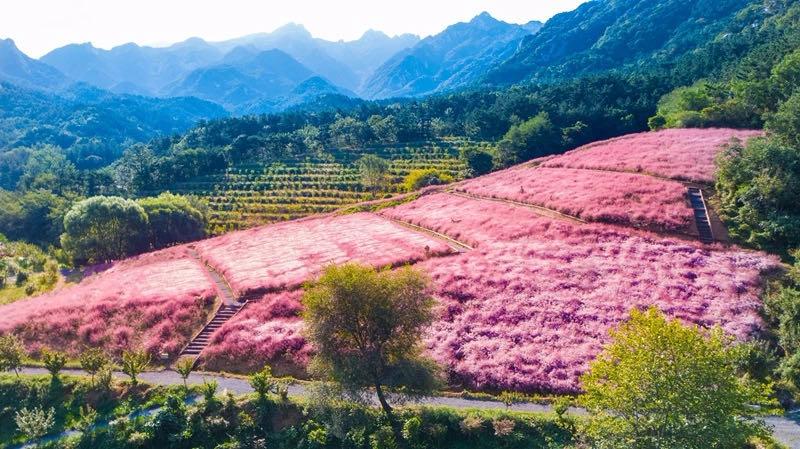 山东自驾游最佳旅游路线发布,山东自驾旅游攻略最全最好的线路