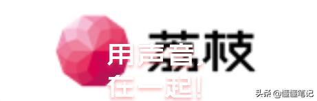 “FM”们抢跑在线音频第一股，荔枝够不够“甜”