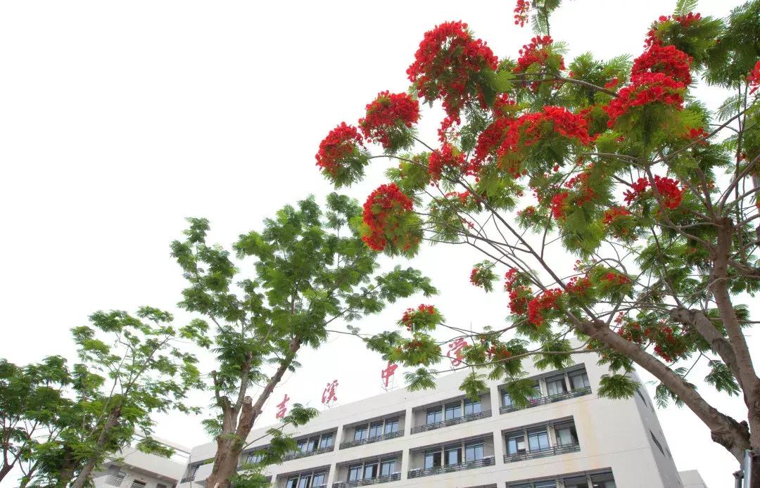 春天该很好，倘若你在场！龙岗最“花心”的地方是……