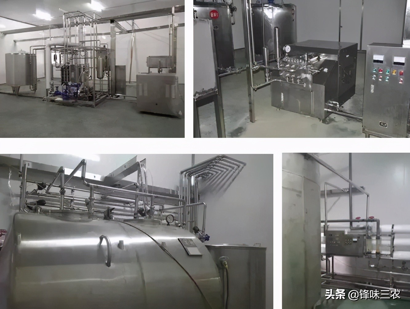 探秘山东最大羊奶厂！羊奶到底有没有膻味？