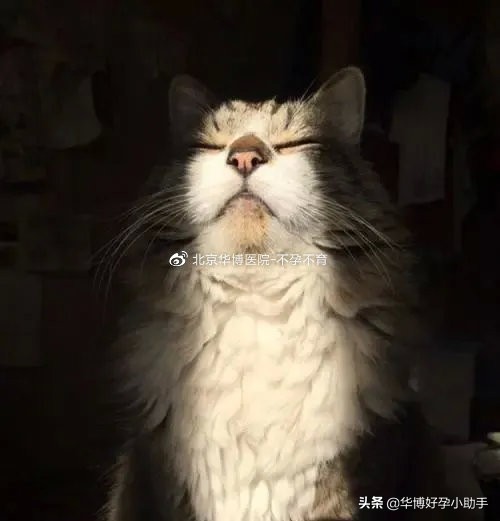 备孕缺少维生素d对怀孕有影响吗,缺维生素对备孕有影响吗