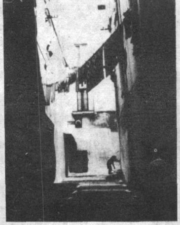 建筑论文写作，必不可少的7本书籍！一定对你有所启发