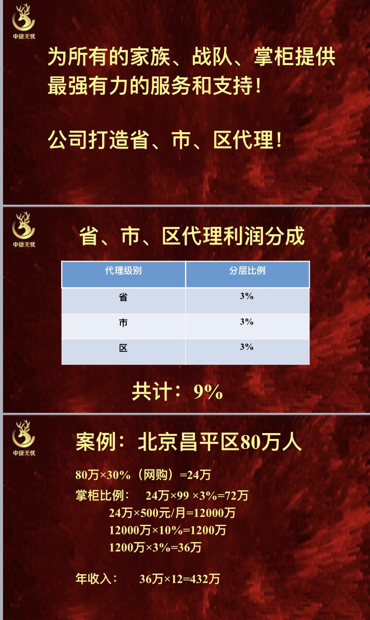 中国电商平台新黑马,中国电商新黑马