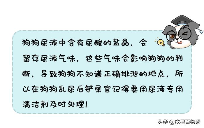 怎么解决狗狗在屋内随地乱拉,狗狗乱拉最好最简单方法