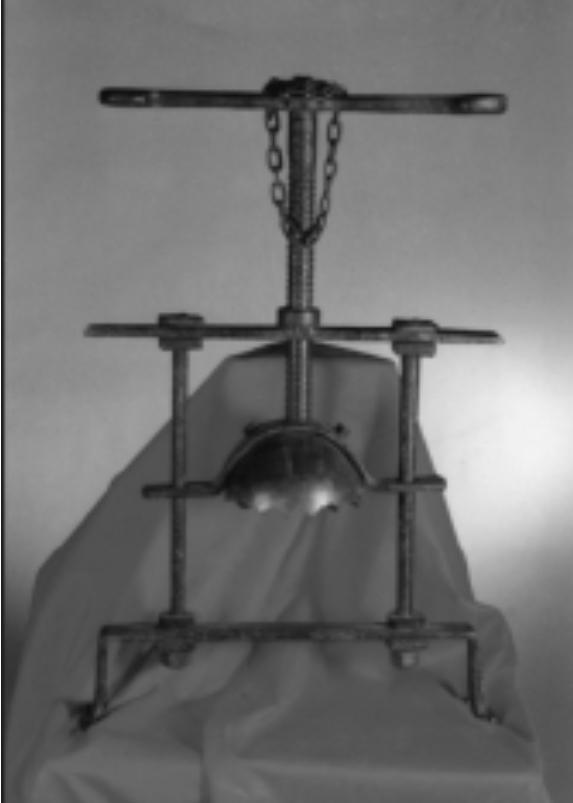 长见识啦深度解析,长见识了完整版视频