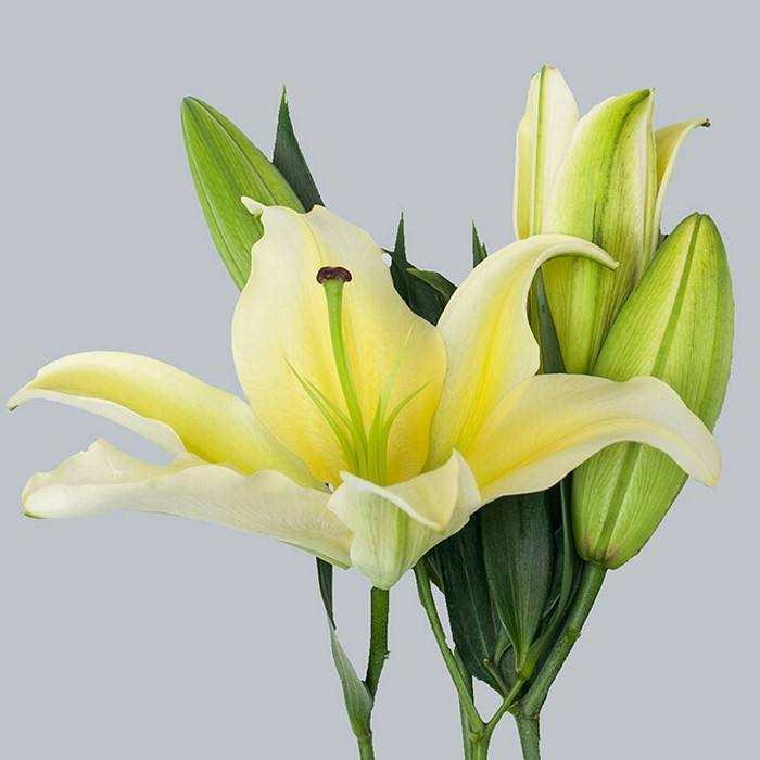 断了线的风筝任他飞,断了线的风筝伤感语录