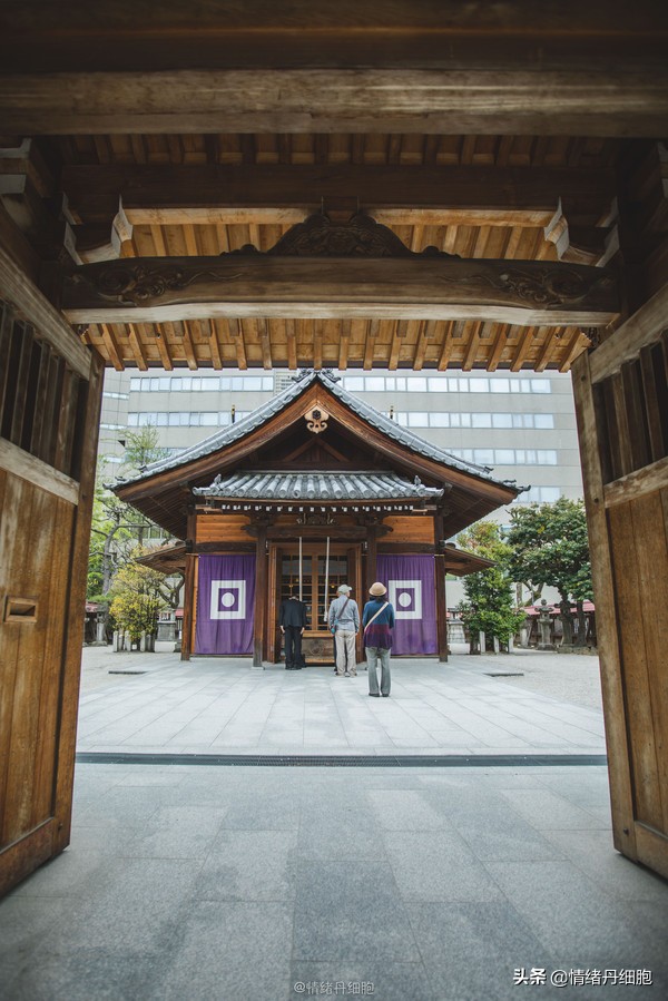 邮轮游选择哪个游轮好,邮轮旅游全攻略公主号