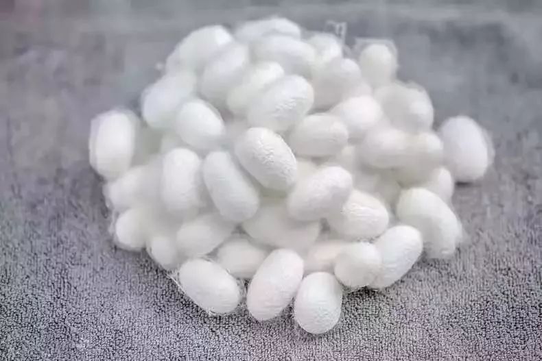 真正的蚕丝被100%桑蚕丝北极绒,推荐一款纯天然蚕丝被