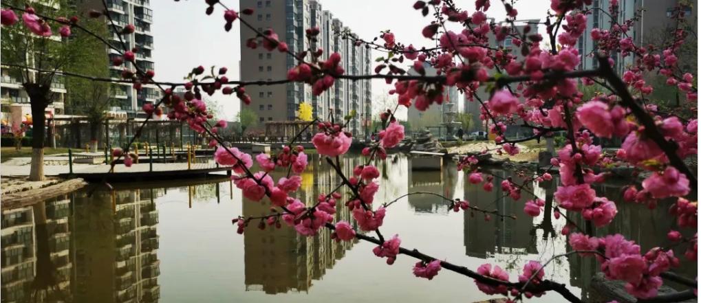 线上快进,线下激活!五月,荣盛物业渐进式启动双线社活