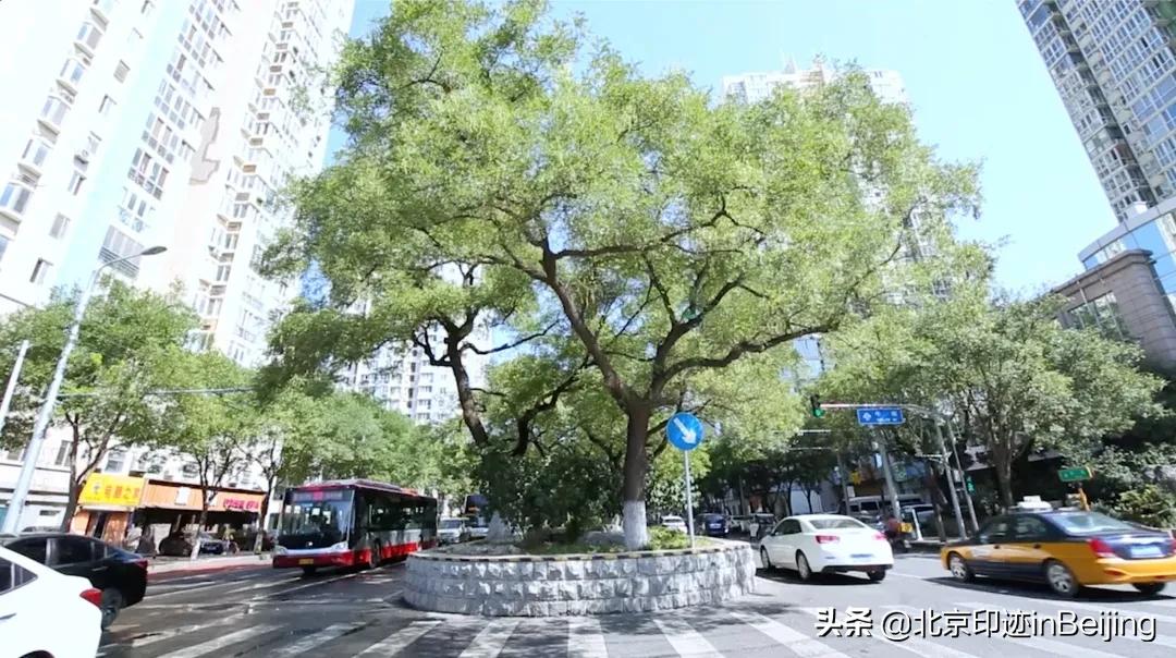 鐗涜鑳″悓鑿滄槸娓呯湡鐨勫悧,鍖椾含鐗涜闄勮繎鑳″悓閲岀殑娓呯湡椁愰