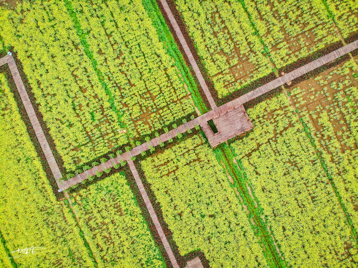 周庄古镇江南水乡美如画,周庄梦里水乡视频