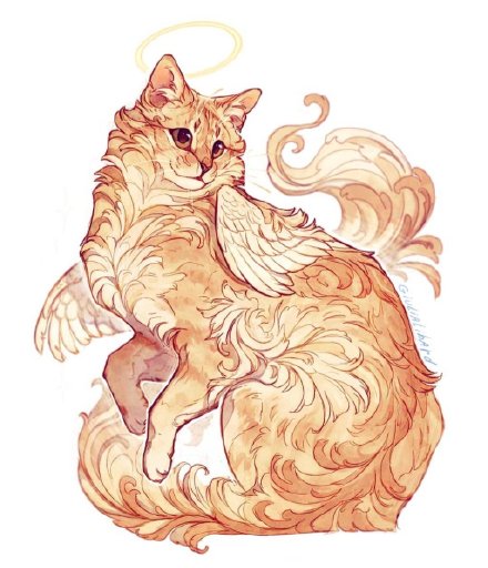 一组关于猫的插画,卷毛小猫咪