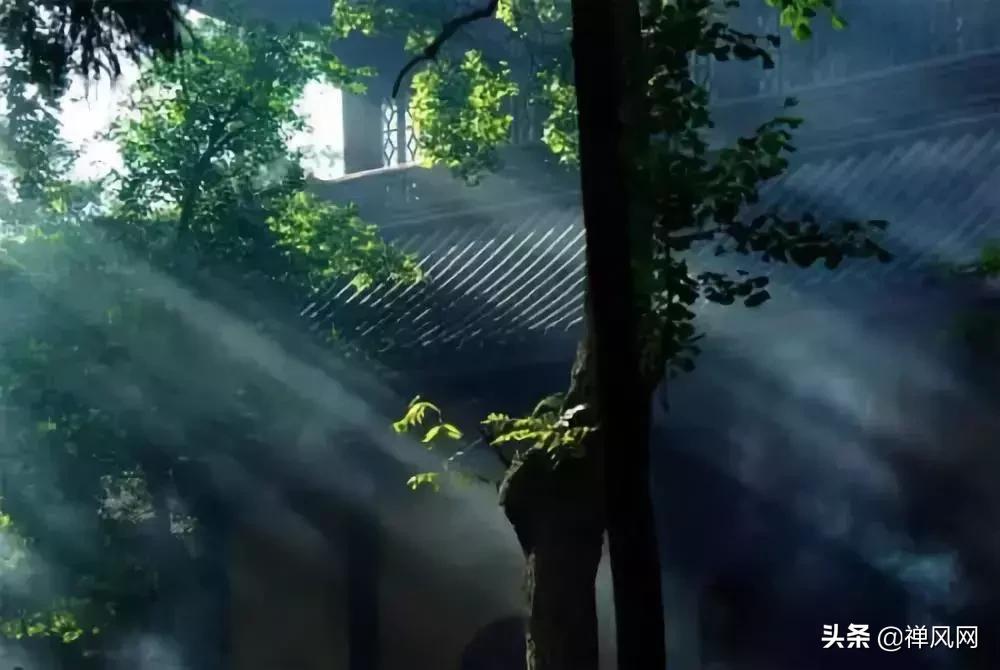 一失恋就出家？少侠且慢！我们先听法师讲讲出家是怎么一回事