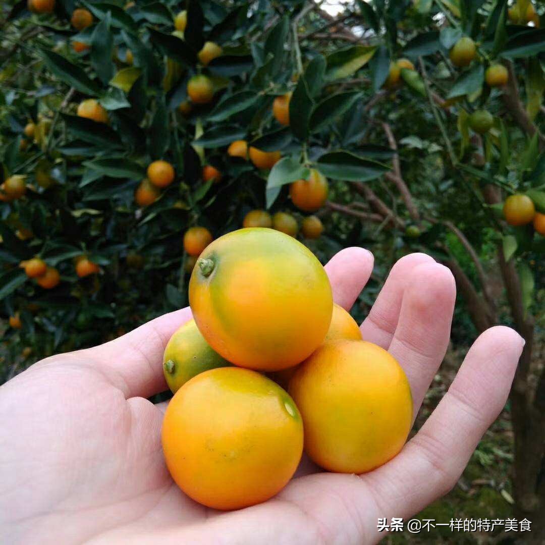 夏天必吃的5种应季水果,最适合夏天吃的应季水果