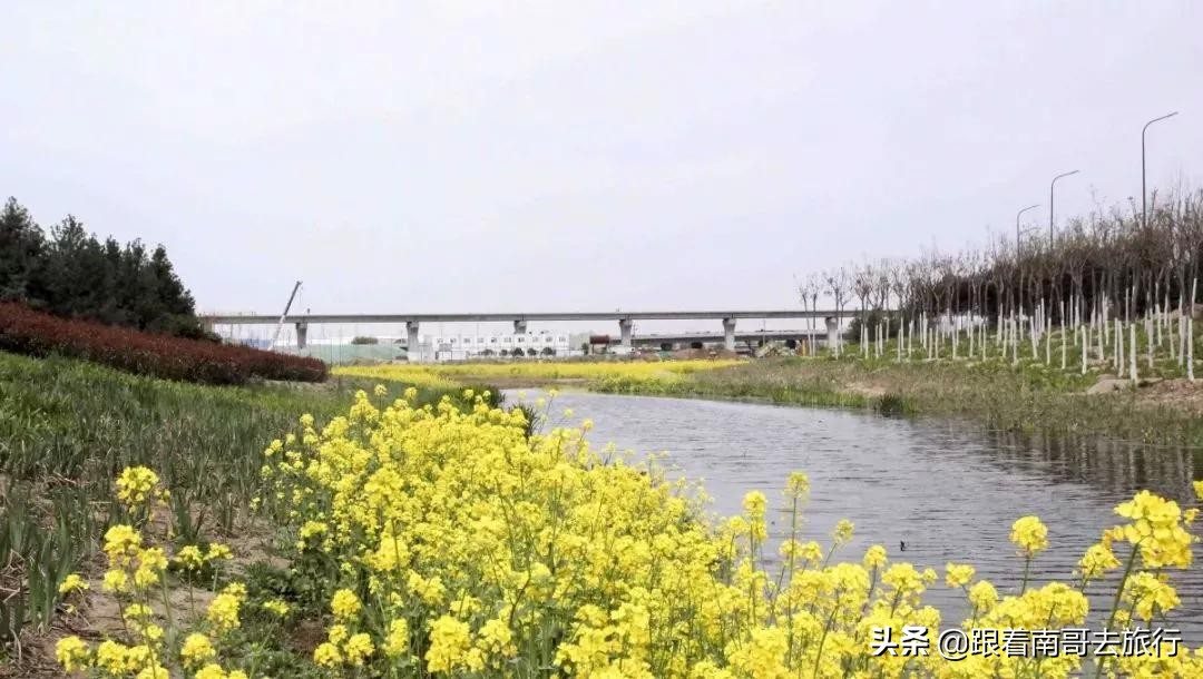 西安附近的公园免费景点推荐,西安公园免费旅游攻略最新