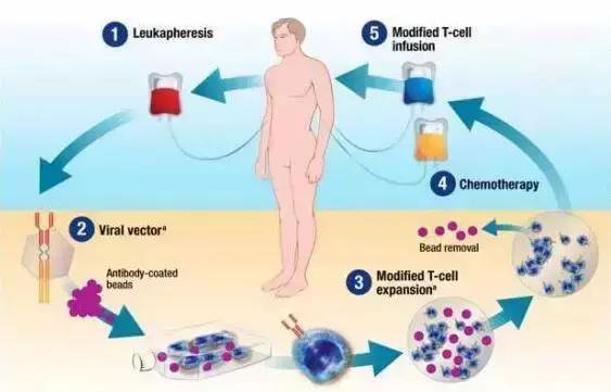 治疗白血病的特效针剂,治疗白血病特效针18万
