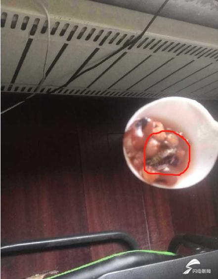 外卖吃出蟑螂来商家赔付多少,外卖吃出蟑螂算大事吗