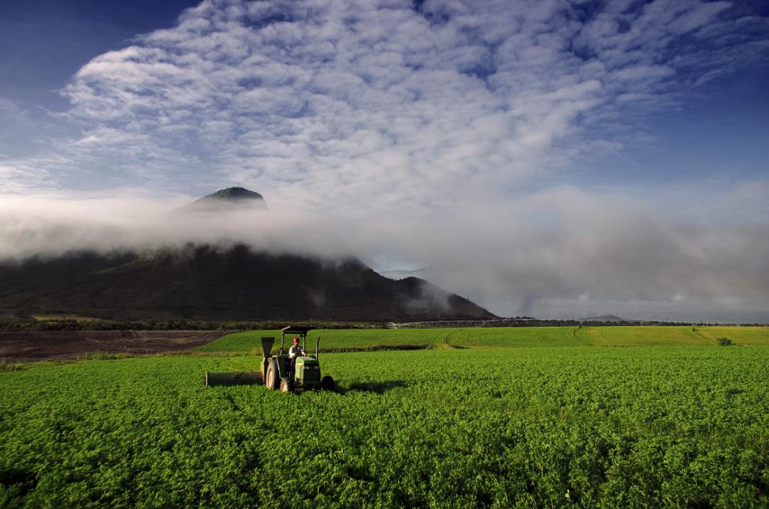 安利体重管理训练营,安利体重管理四个阶段