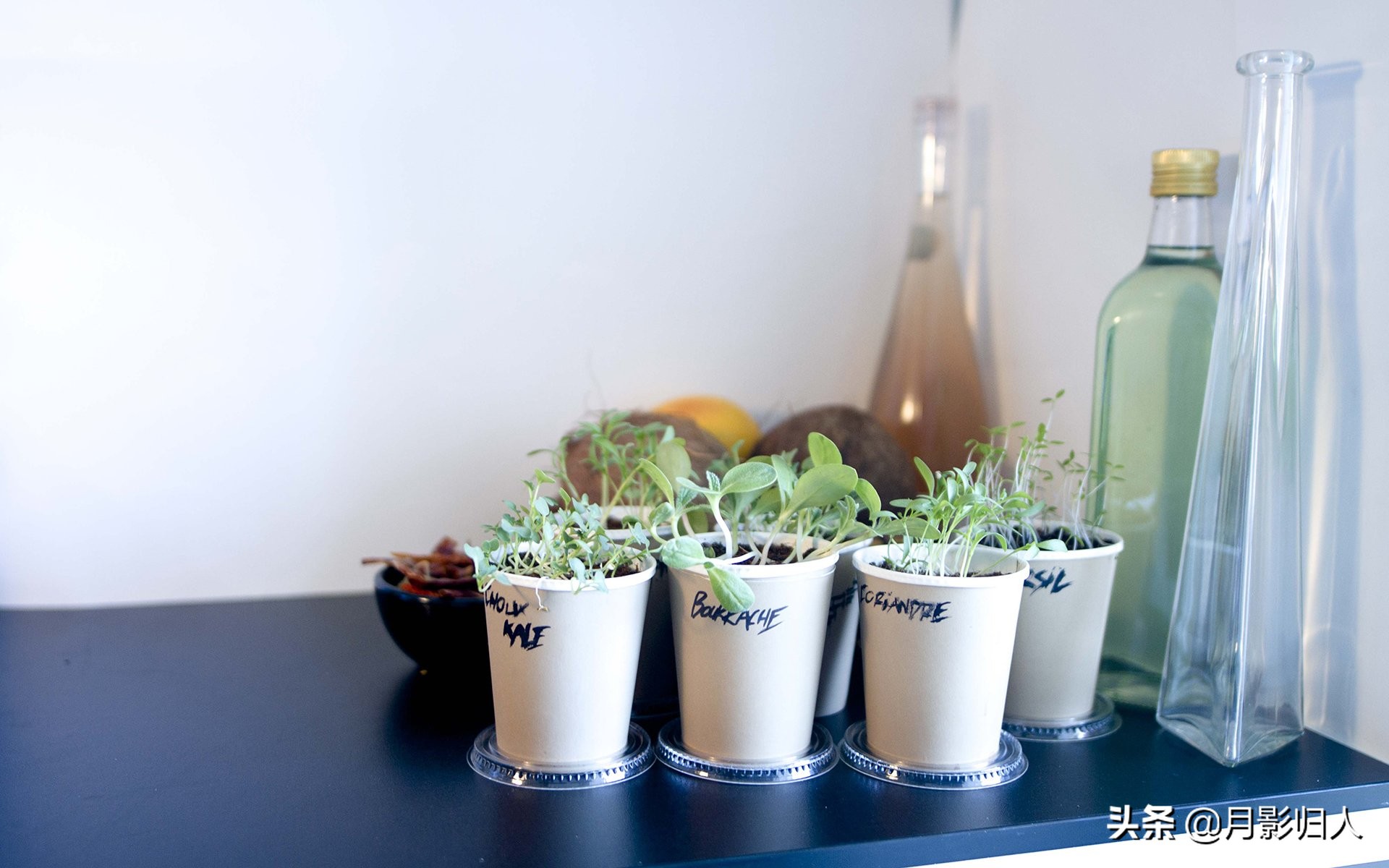 人世喧嚣纷纷扰扰,倾听人世繁华喧嚣