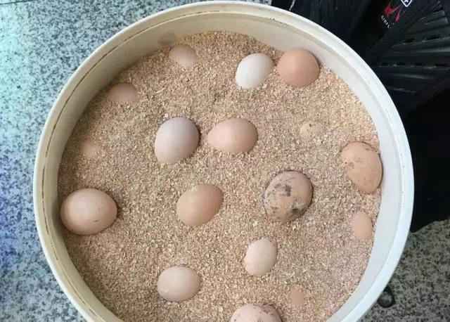 不想回老家过年,当孩子不想回家怎么办