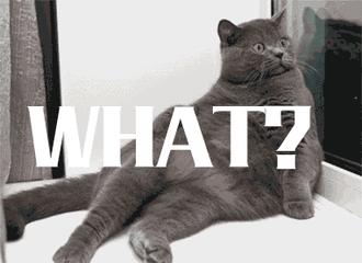 开遍全国街巷的兰州拉面，竟然不是“兰州制造”？