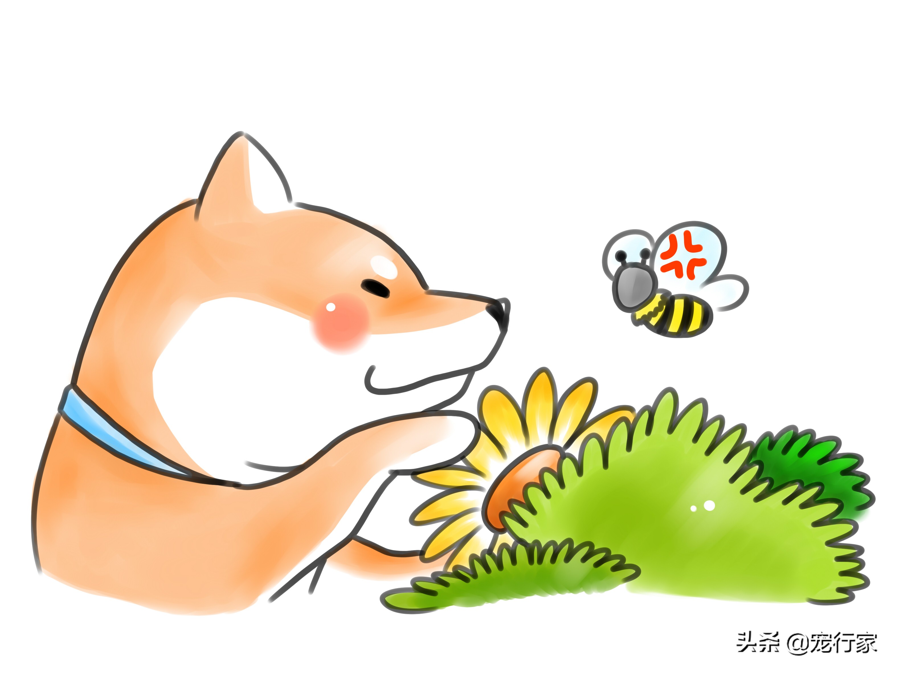 狗被蜜蜂蜇伤怎么办,狗狗被蜜蜂蛰了肿了不精神怎么办