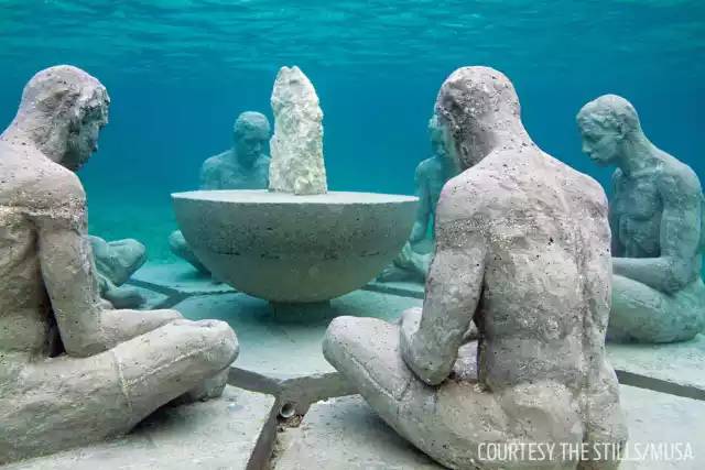 自由潜水怎么玩,潜水20个基本技巧