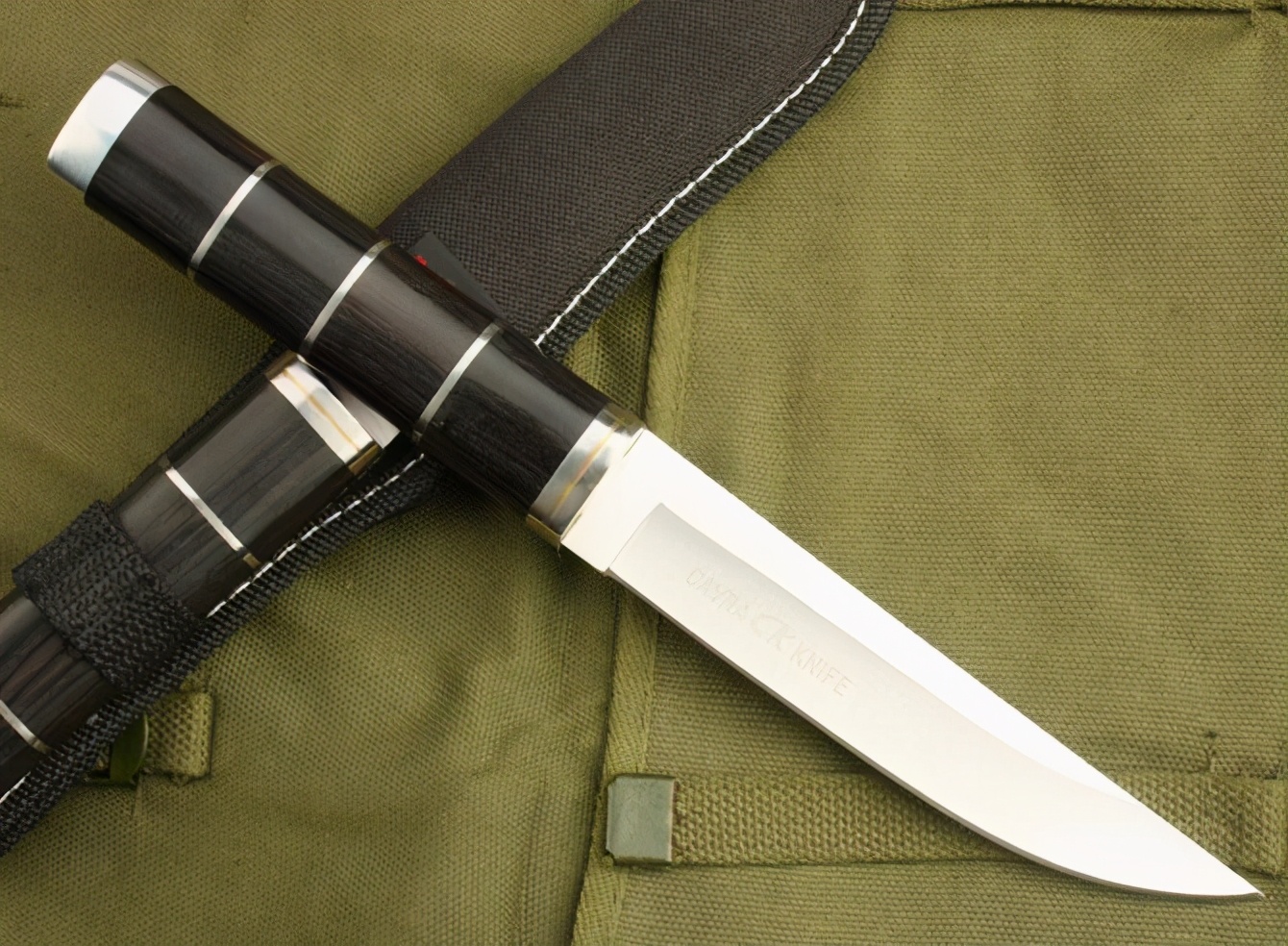 被蟒蛇吃进肚子可以靠刀自救吗,在雨林被毒蛇咬了该怎么办