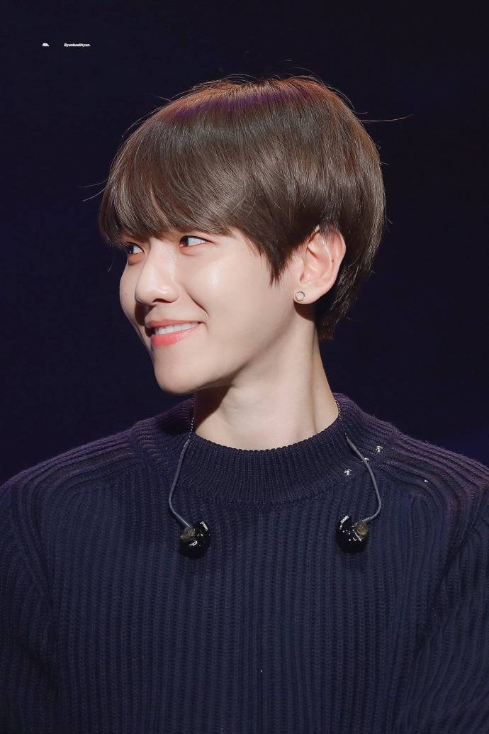 演唱会现场边伯贤遇到的理想型,边伯贤最近舞台