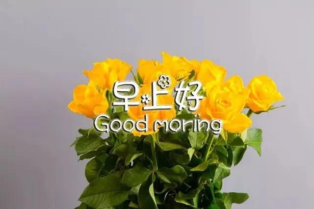 人就像一根弦绷太紧会断,人生就像一根弦