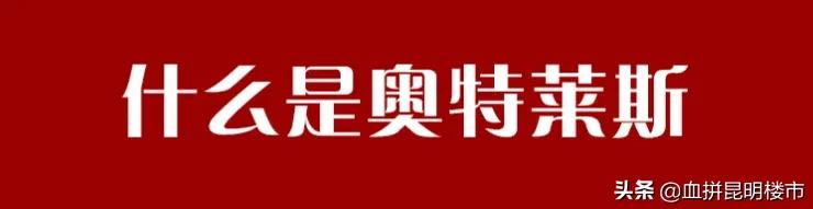昆明奥莱网上怎么买,成都奥莱捡漏