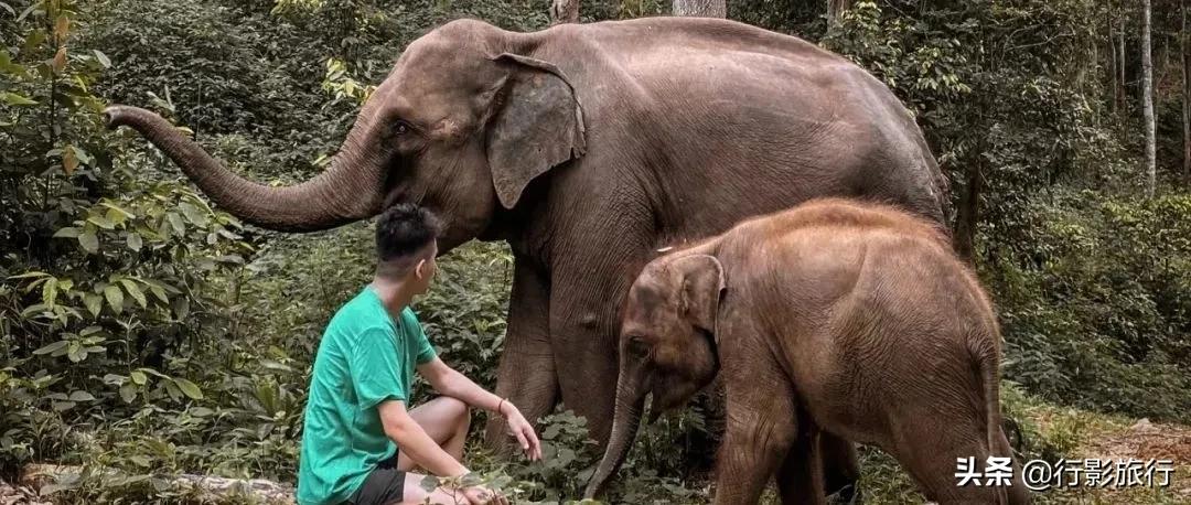 云南的西双版纳州怎么样,云南西双版纳景区怎么样