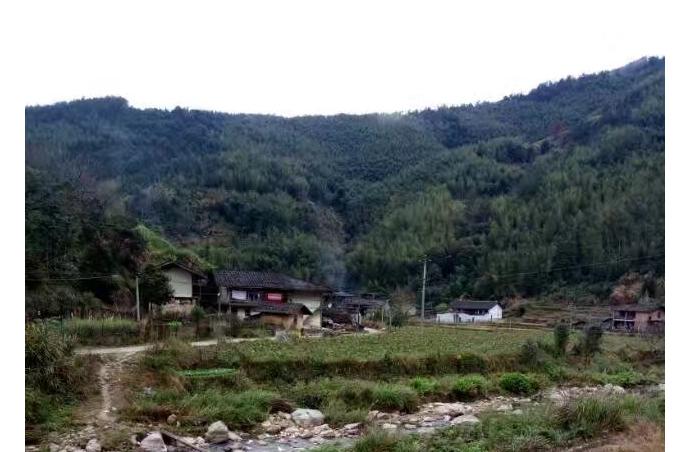 中科院博士最终去向,中科院博士离职后来去哪