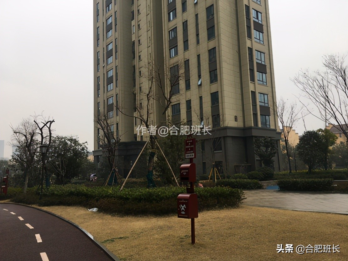 海恒加侨悦湖公馆怎么样,海恒悦湖加侨公馆