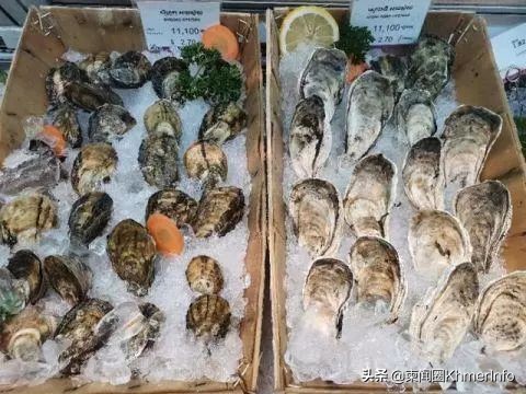 柬埔寨最大超市,柬埔寨金边日本永旺超市