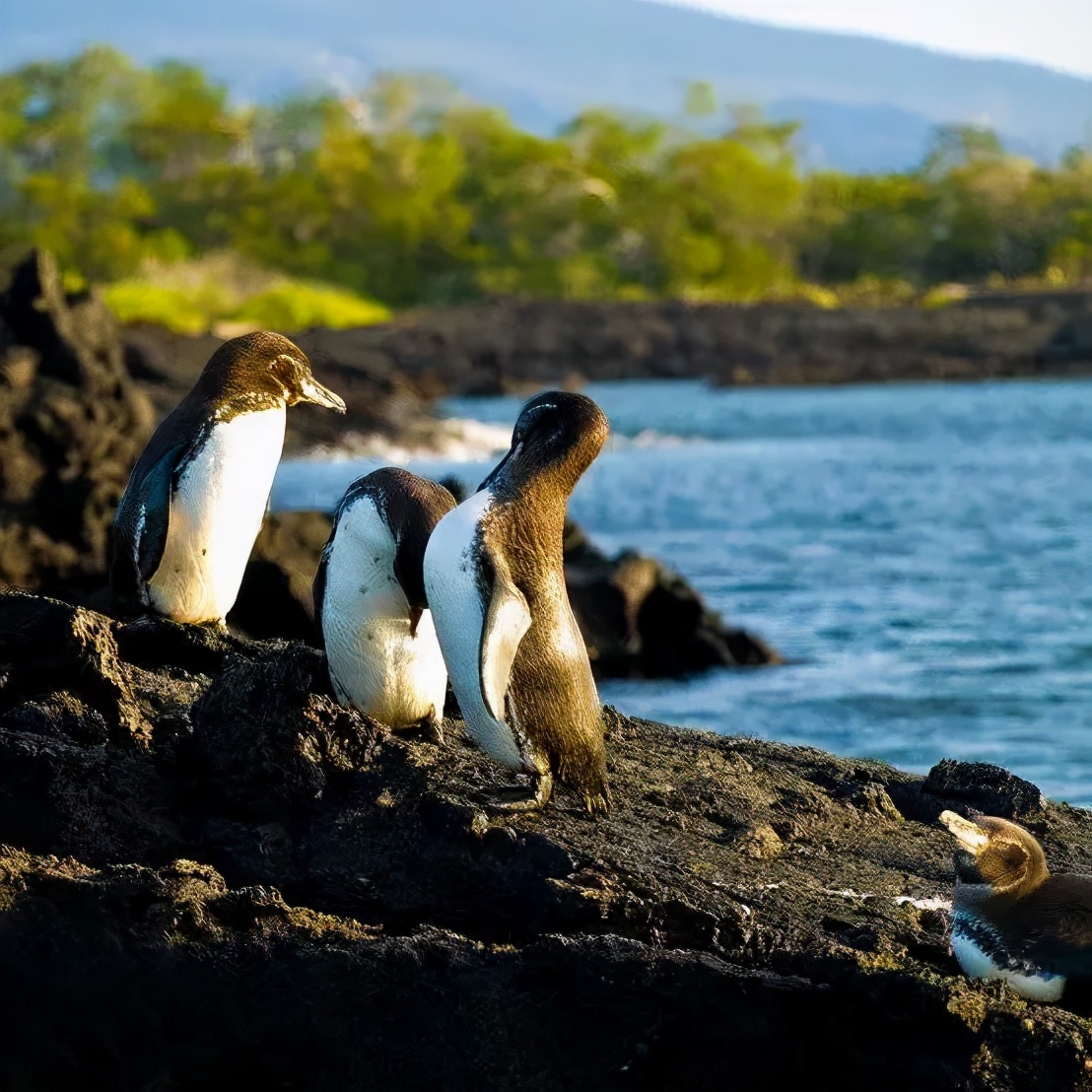 刘润概率思维,刘润打破认知