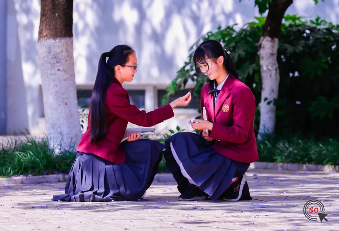 校园|遇见.初夏属于十中的紫色烂漫