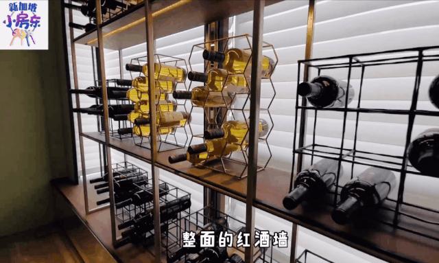 新加坡柏皓顶级豪宅户型图,新加坡乌节路豪宅铂瑞雅居