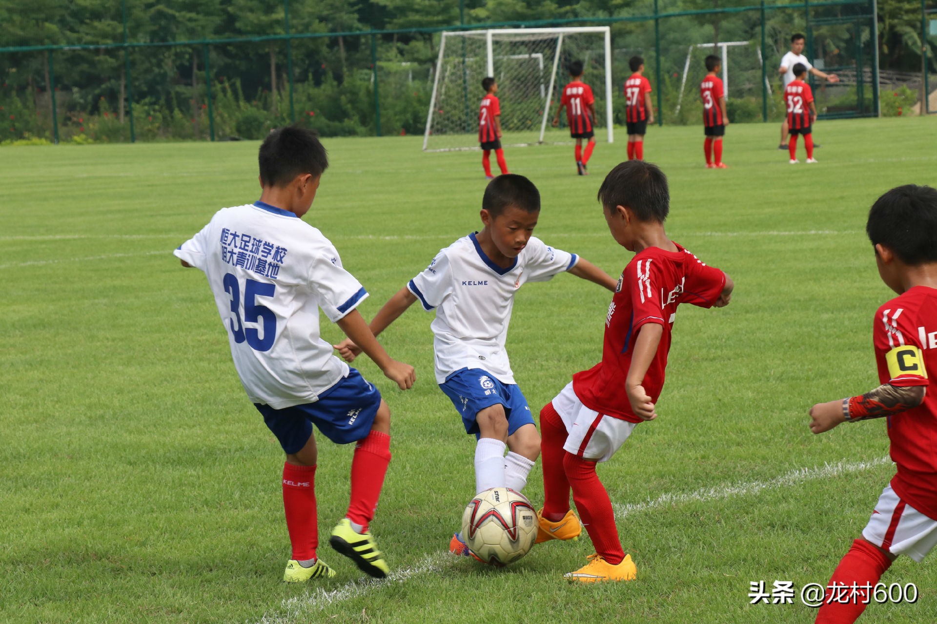 中超在变革中走向未来,中超回归成潮流