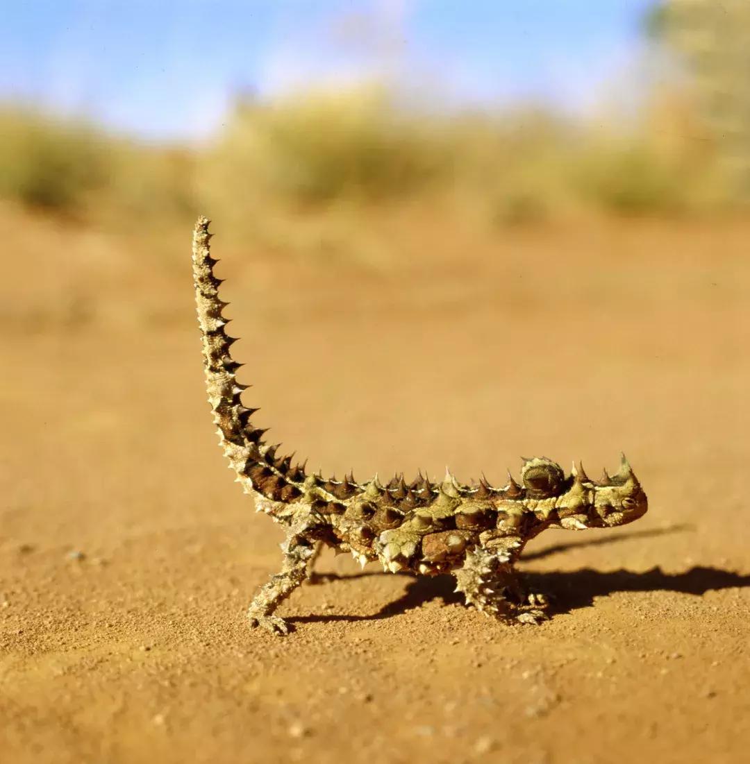 用纸做花放水里盛开的视频,用纸做花朵放水里盛开