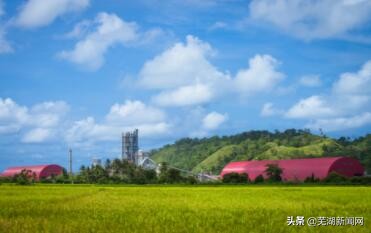 海螺集团为什么能跻身世界500强,海螺哪年进入世界500强