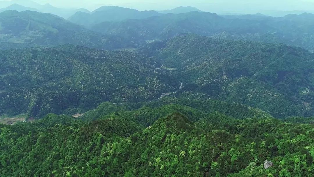 从世界地图看湖南,世界看湖南