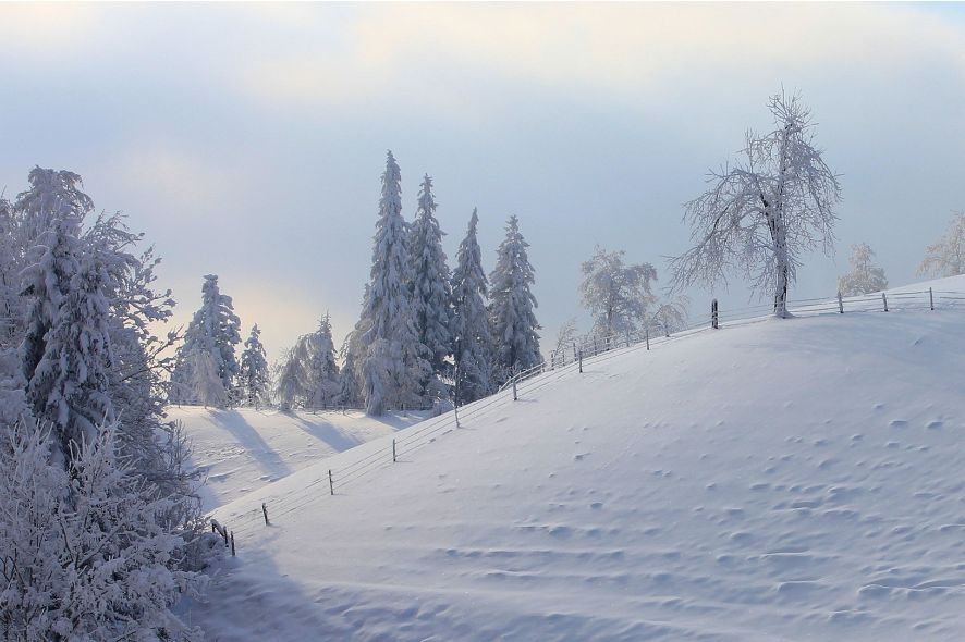 纳兰词中最唯美的句子离别,十首纳兰词