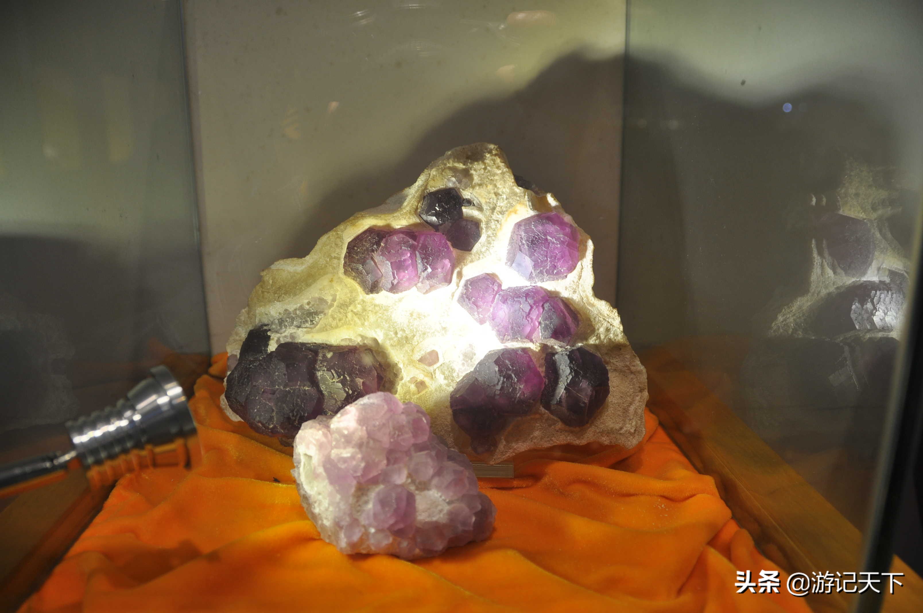 参观上海东方地质科普馆,上海东方地质科普馆需要预约吗