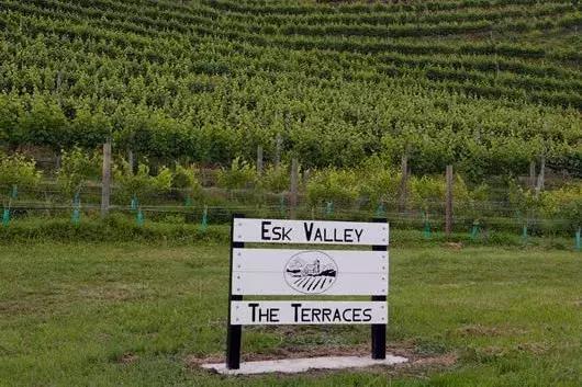 新西兰名庄葡萄酒怎么样,新西兰名庄酒