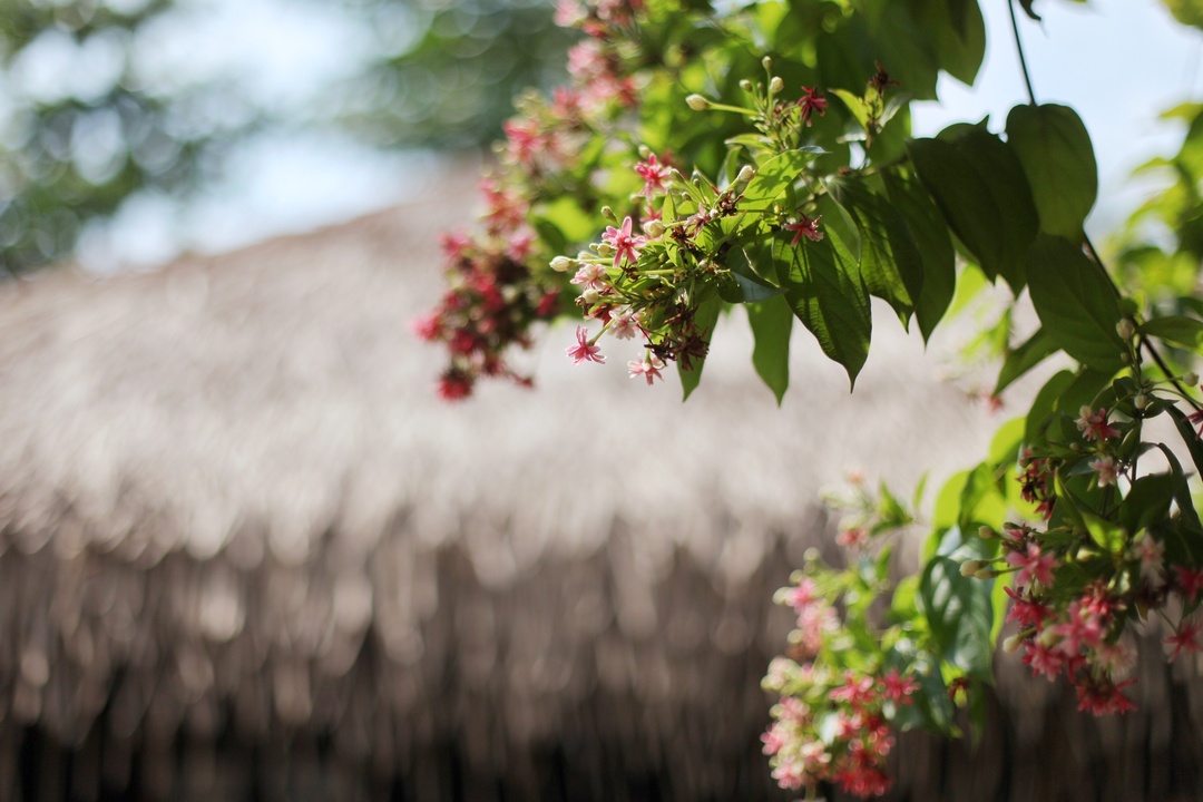 在京东旅行遇到这10件东西，如果还不赶紧入手，你想哭的心都有